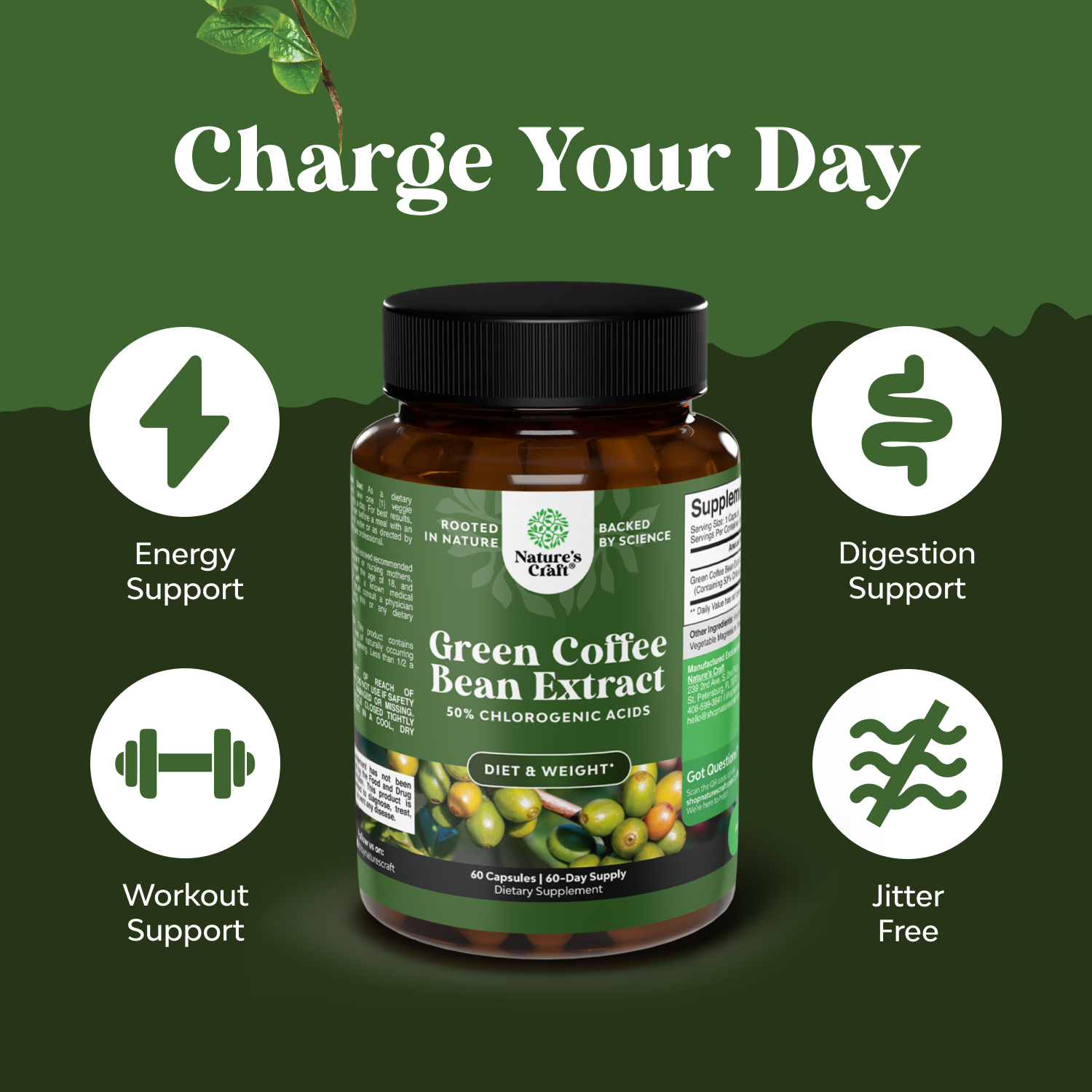 Green Coffee Bean Extract