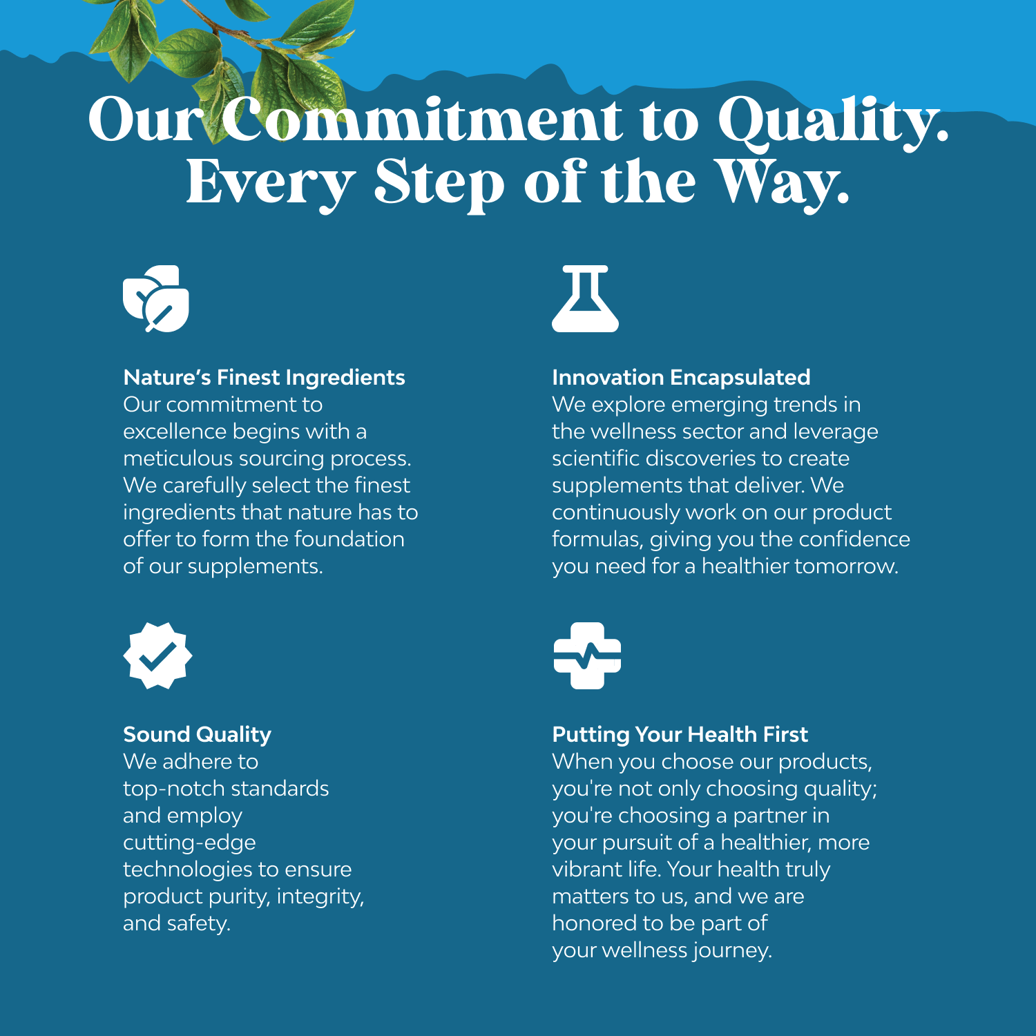 Organic Ceylon Cinnamon 1000mg per serving