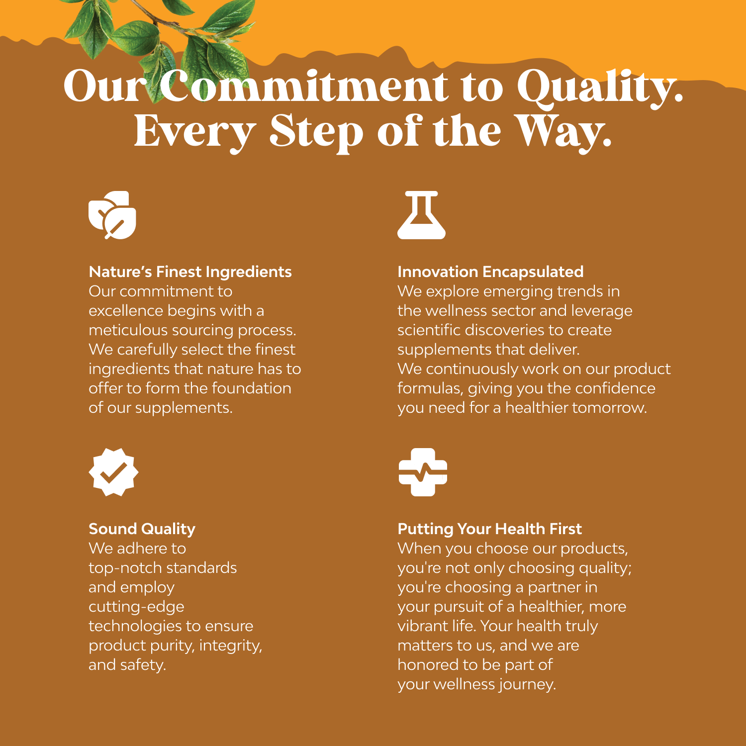 Organic Turmeric Complex