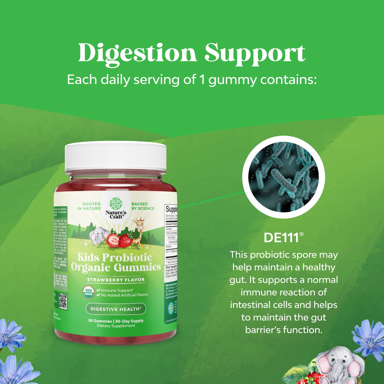 Kids Organic Probiotic Gummies