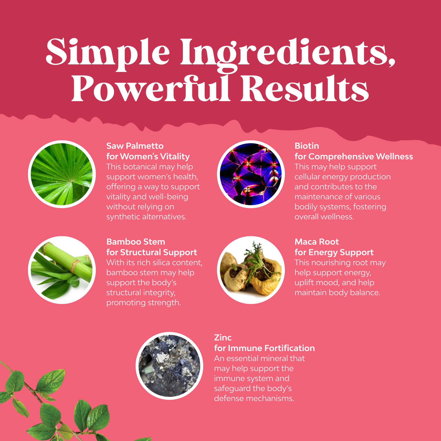 Women's Saw Palmetto 500mg per serving
