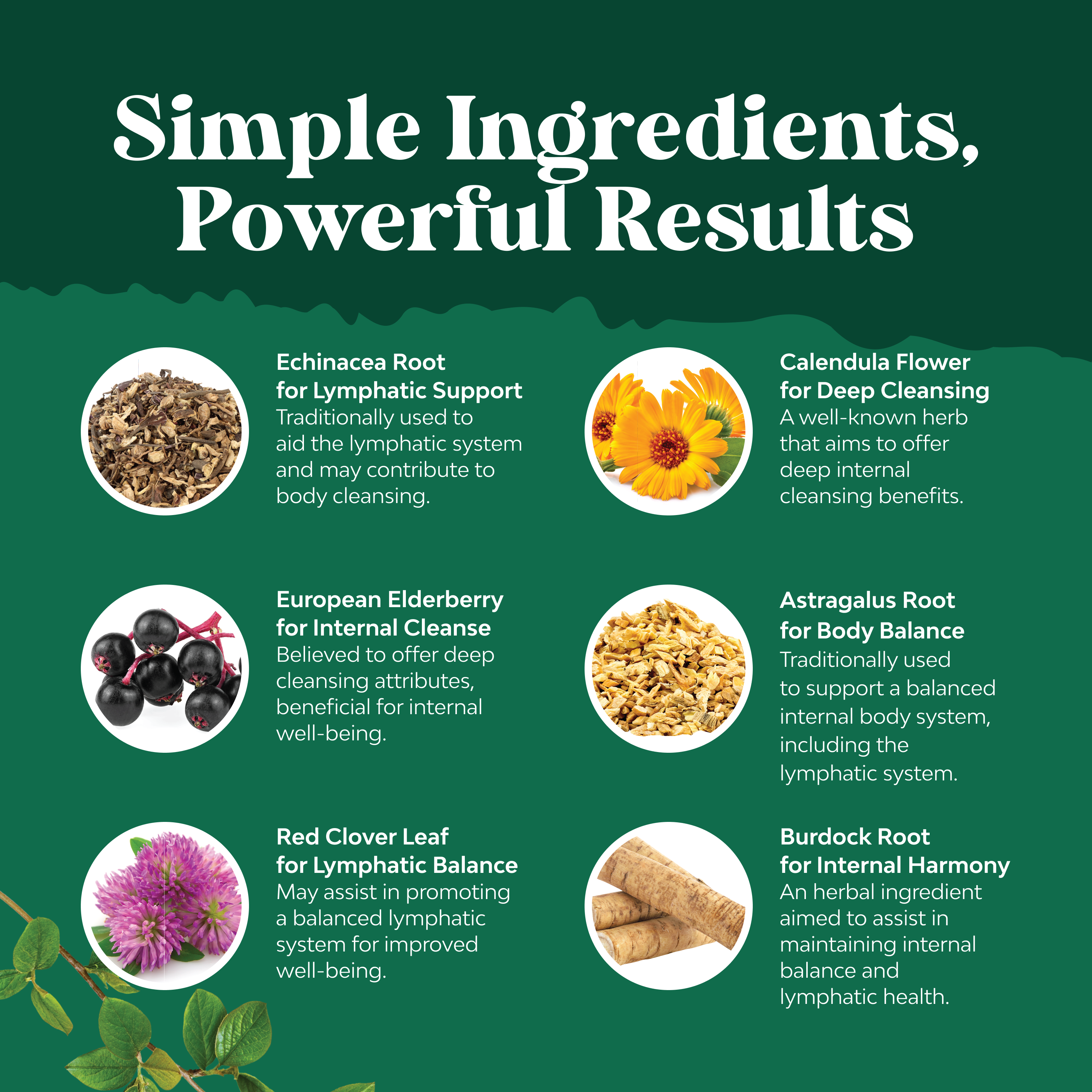 Organic Lymphatic Support