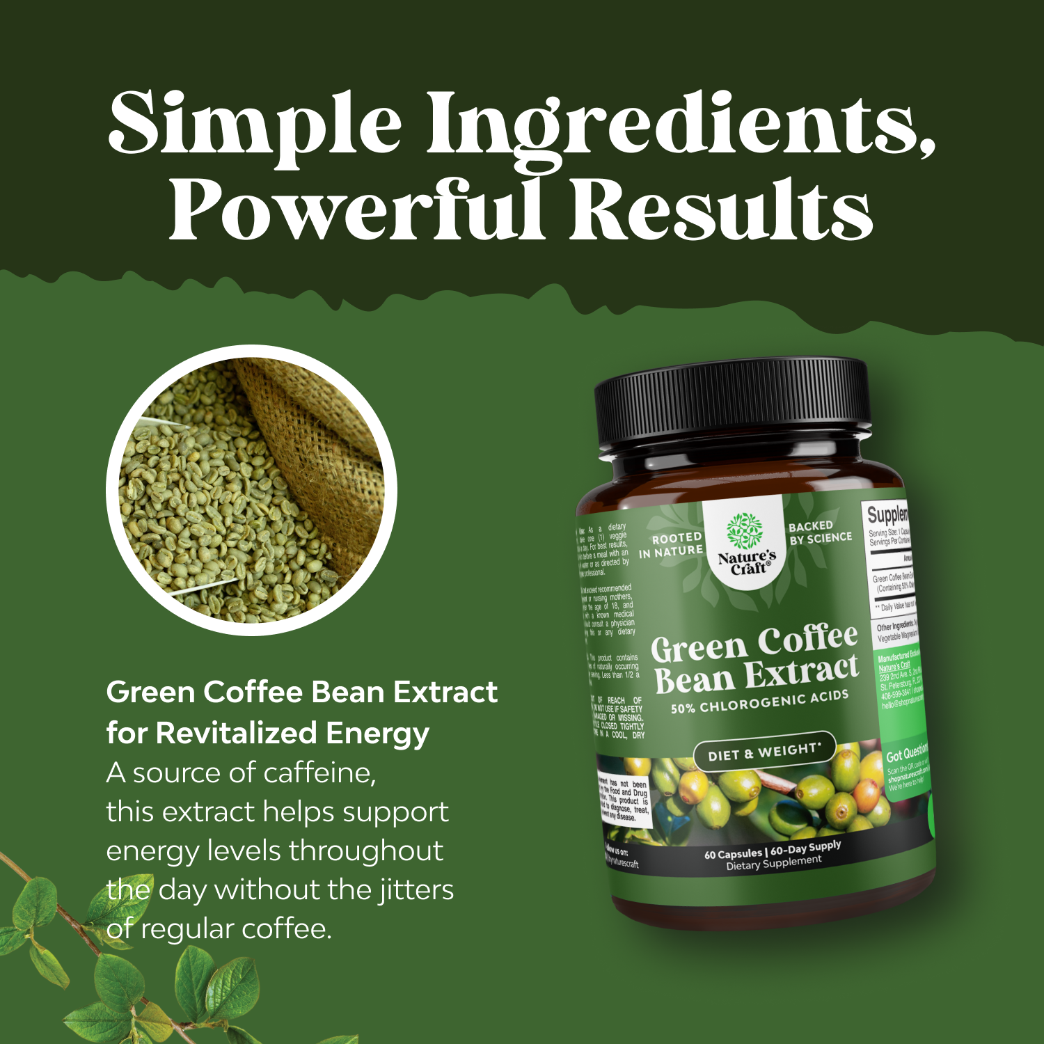 Green Coffee Bean Extract