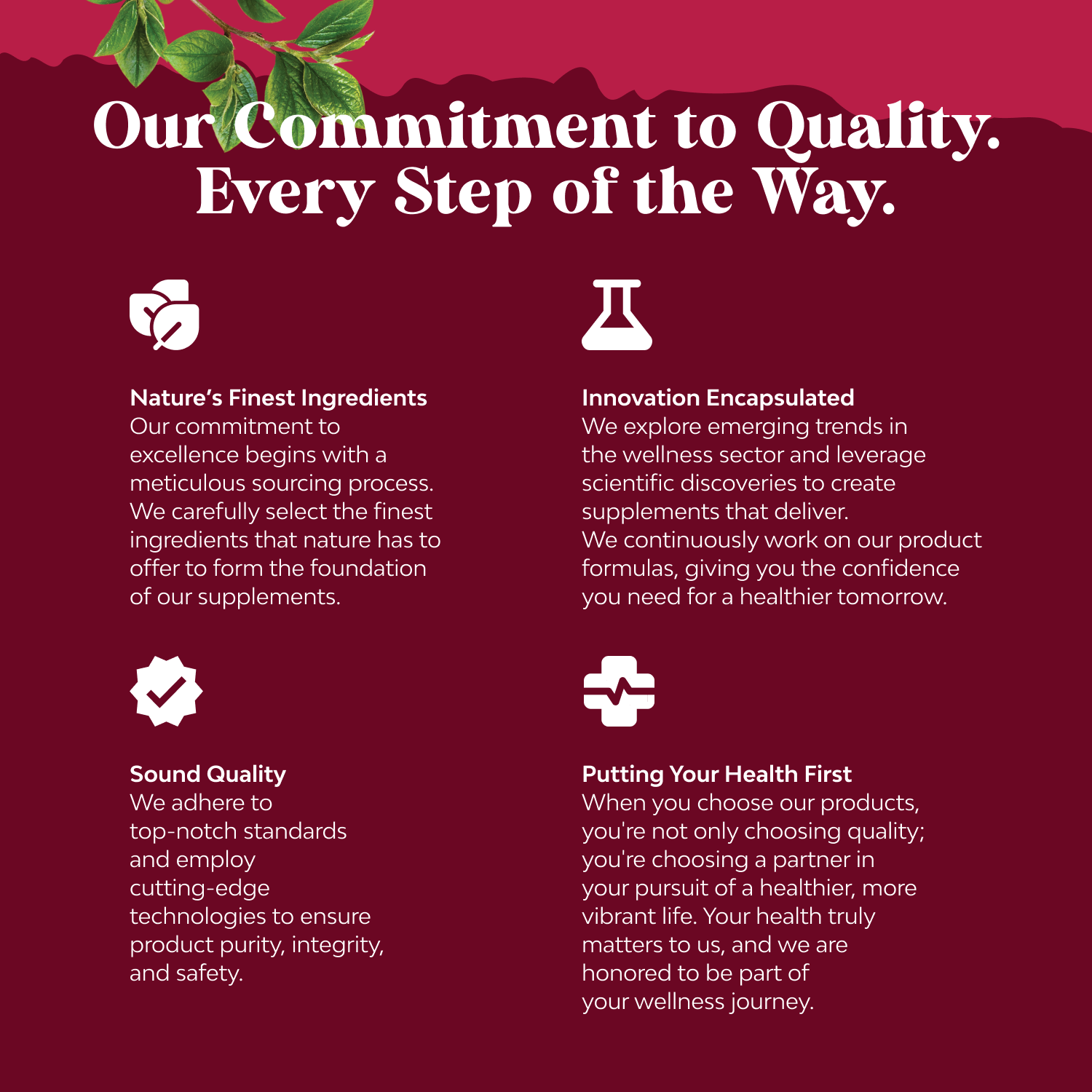 Adult Elderberry Gummies