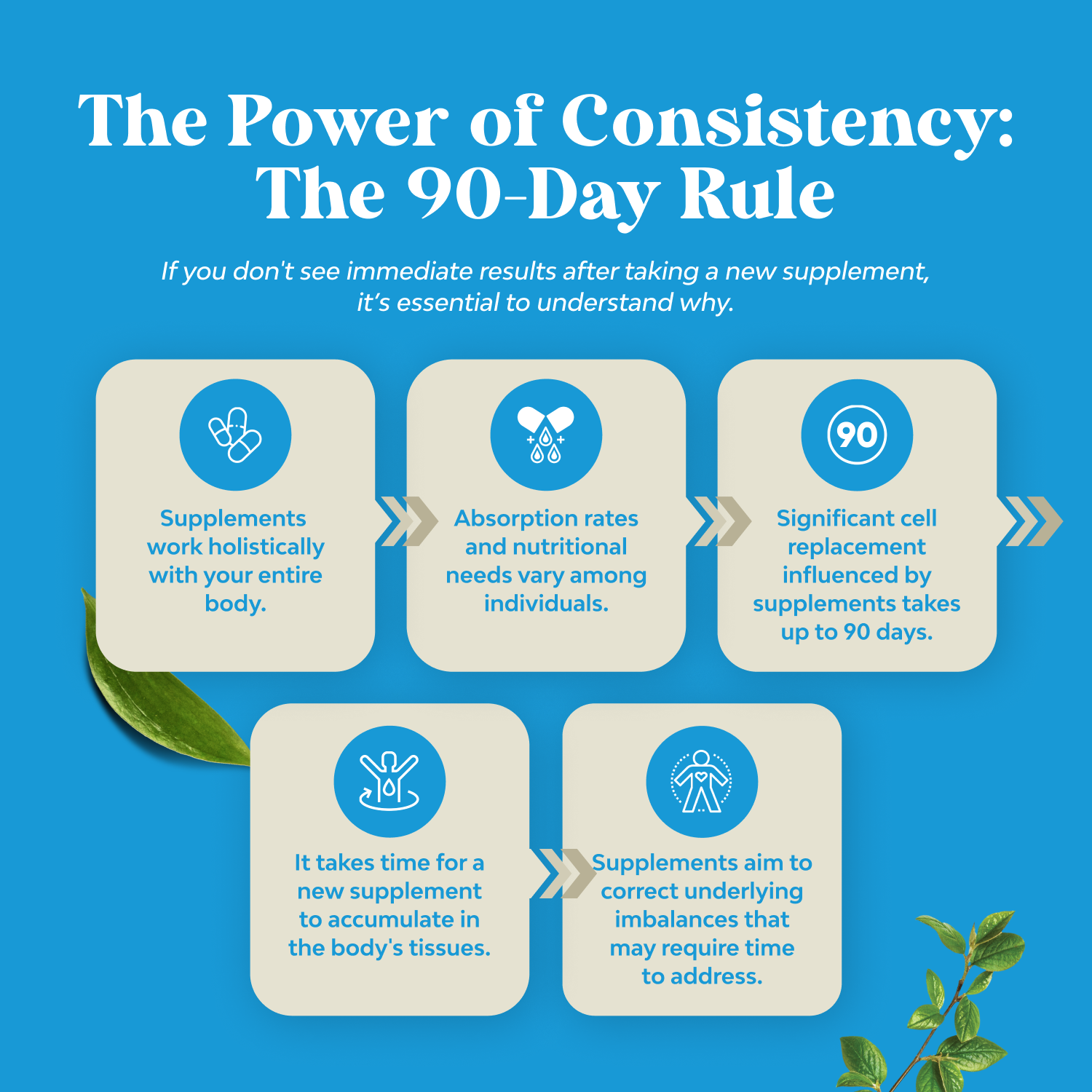 Organic Ceylon Cinnamon 1000mg per serving