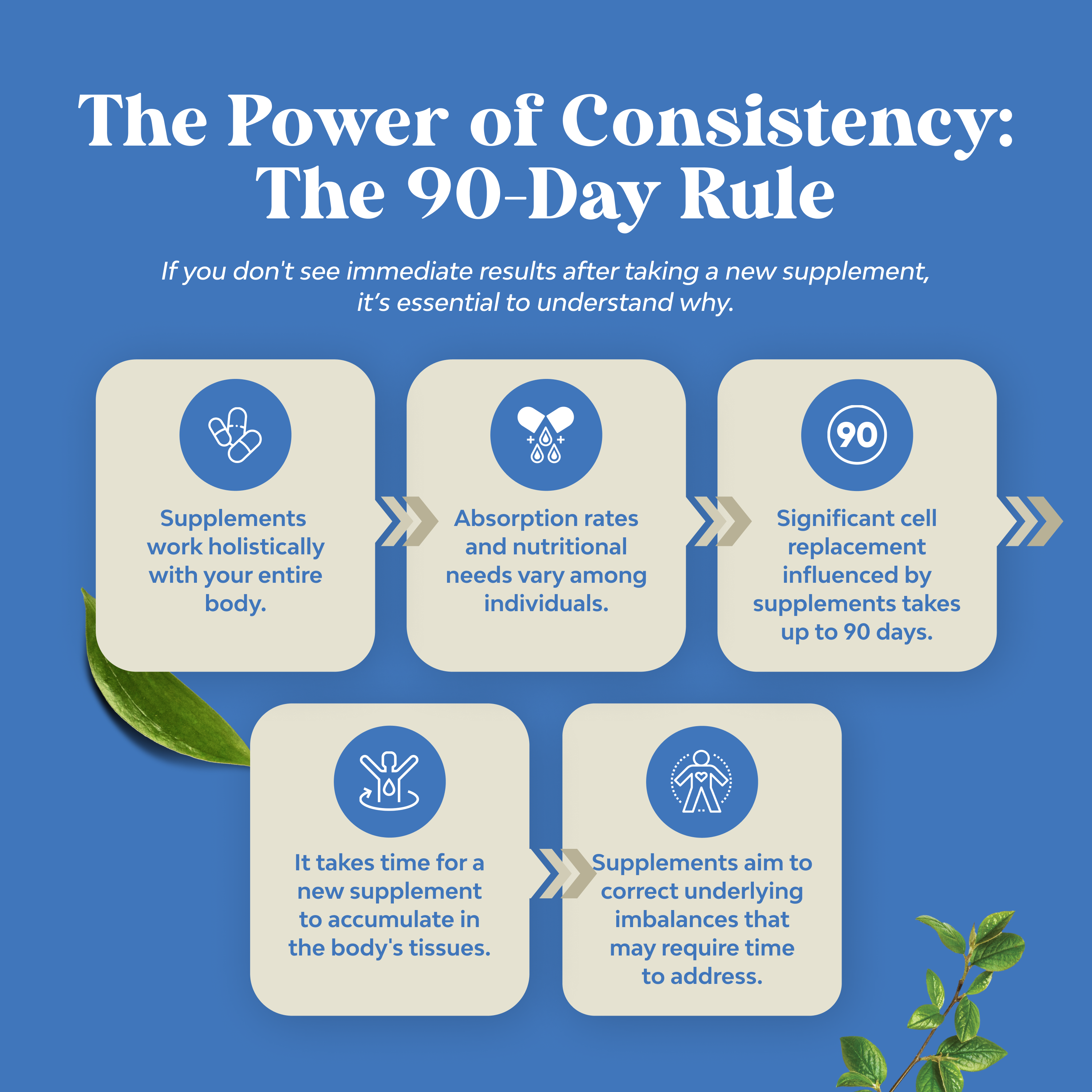 Organic L-Theanine 200mg per serving