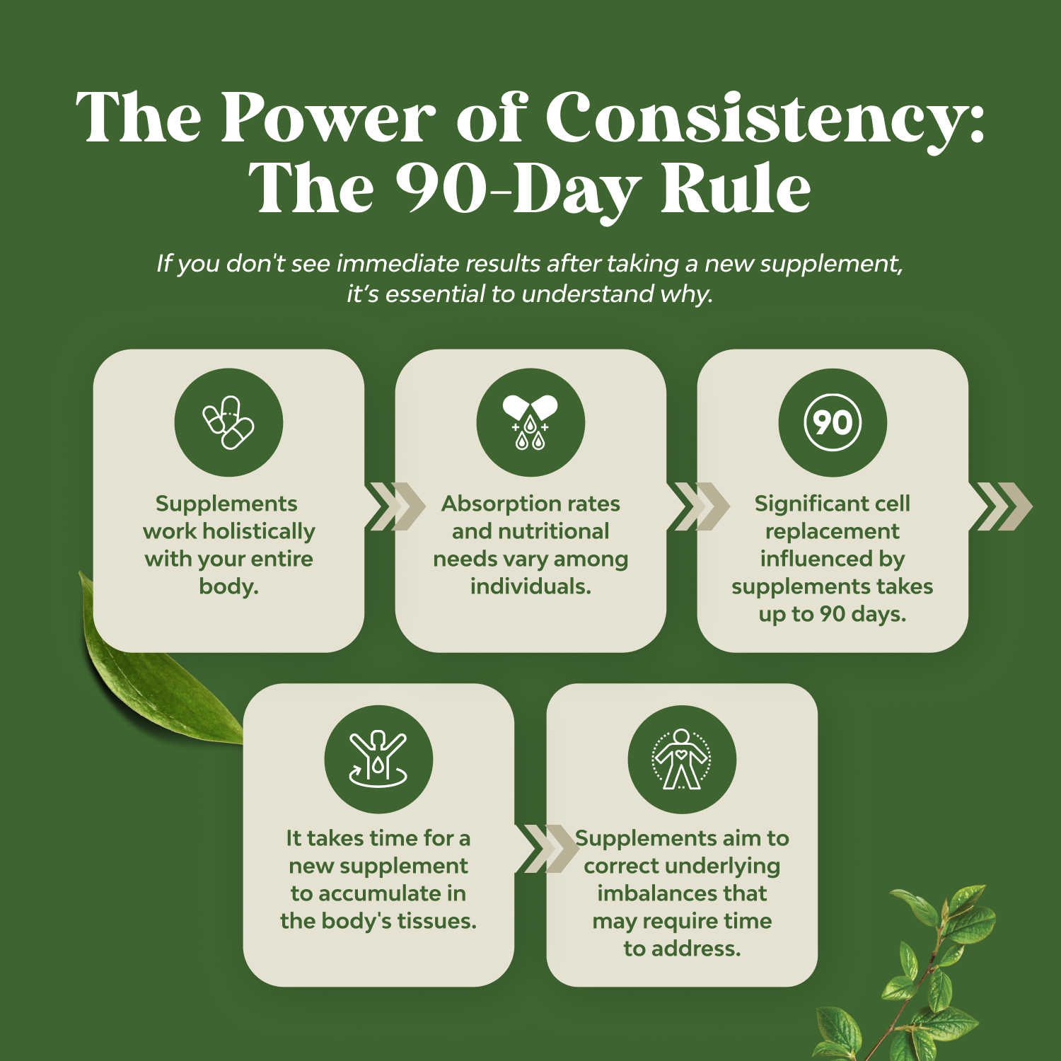 Green Coffee Bean Extract