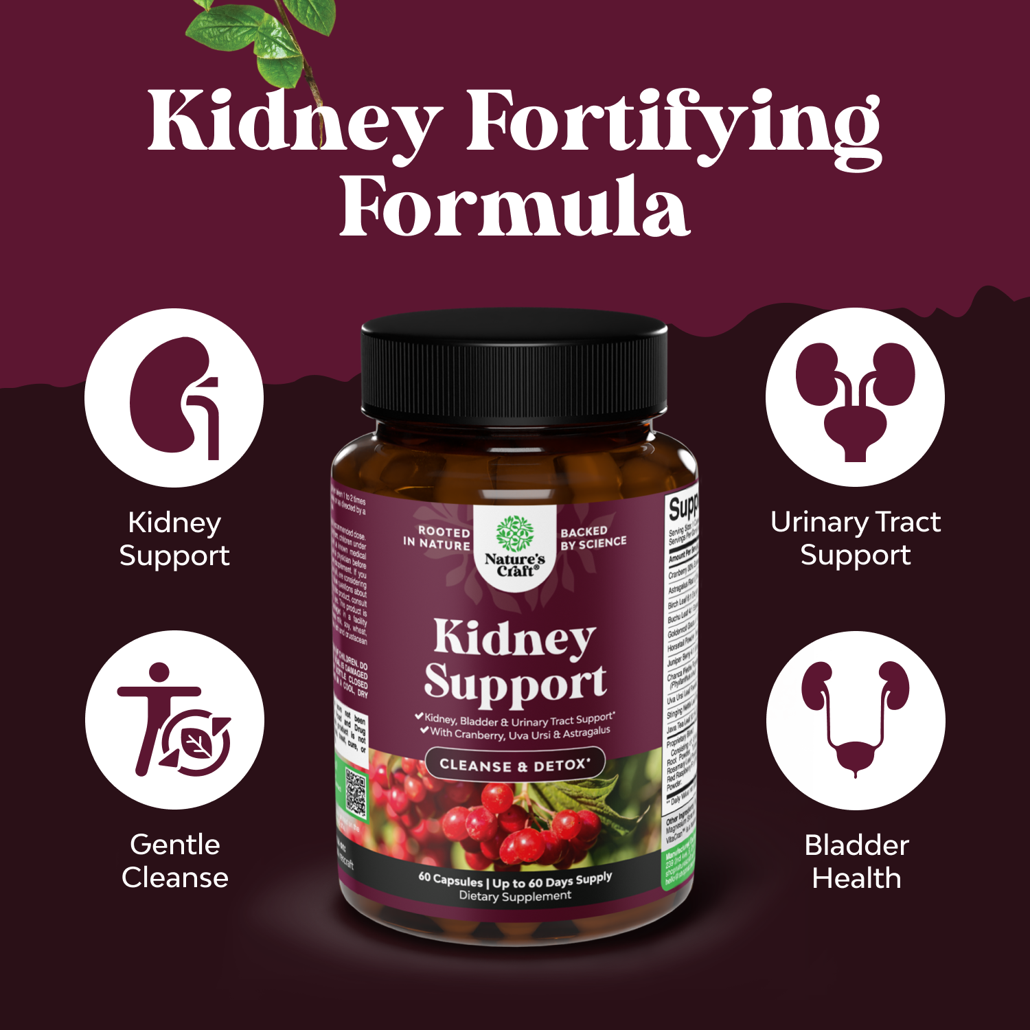 Kidney Support