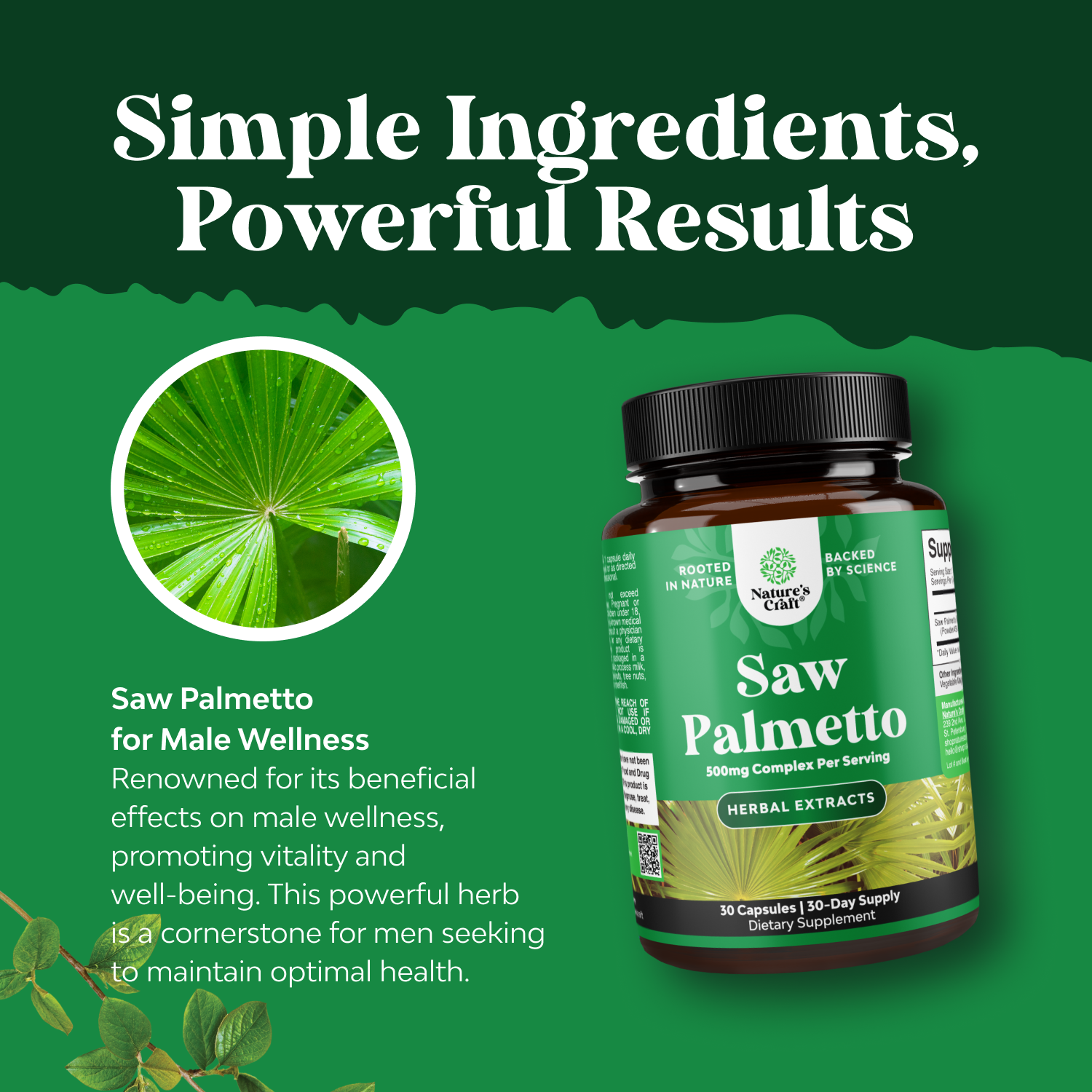 Saw Palmetto