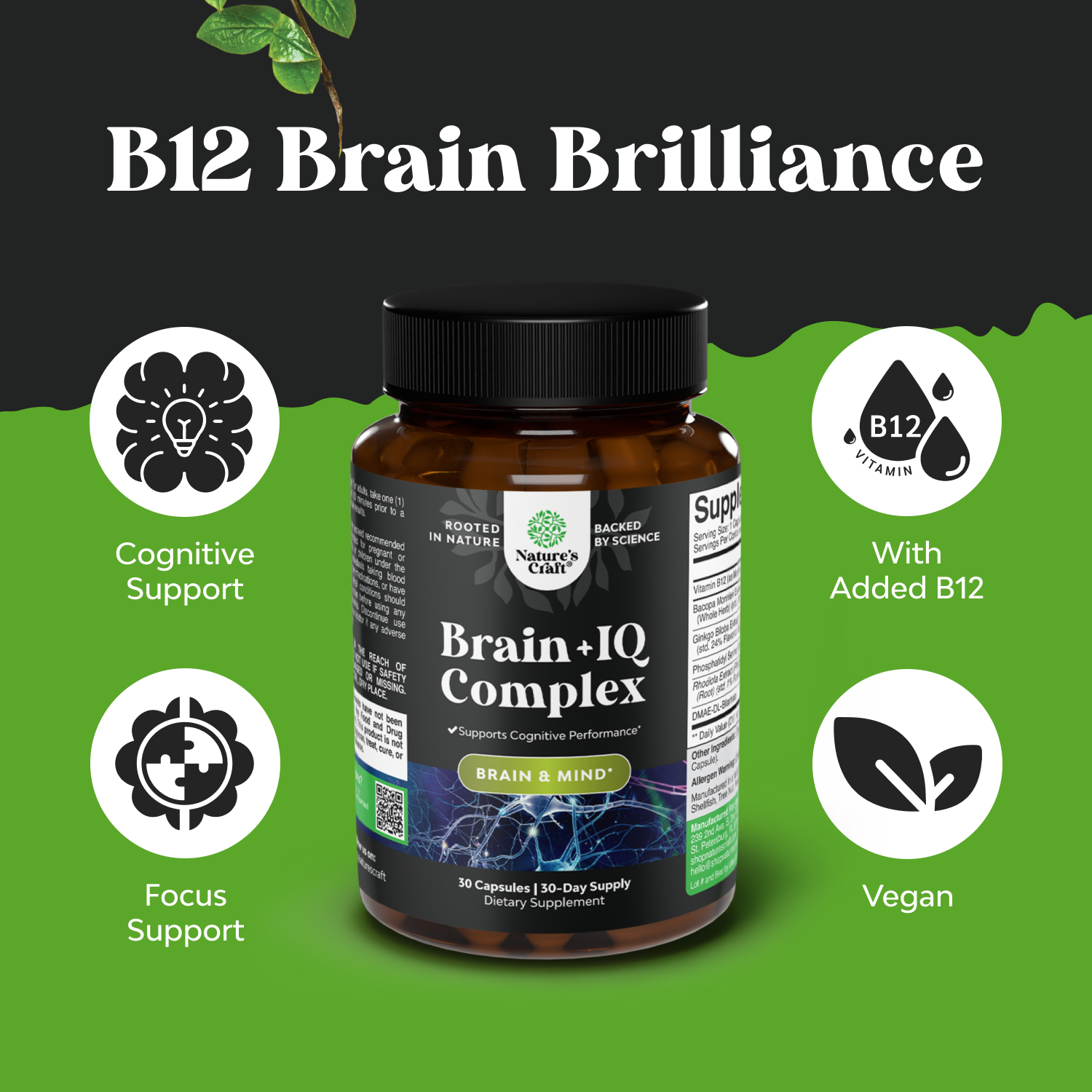 Brain + IQ Complex