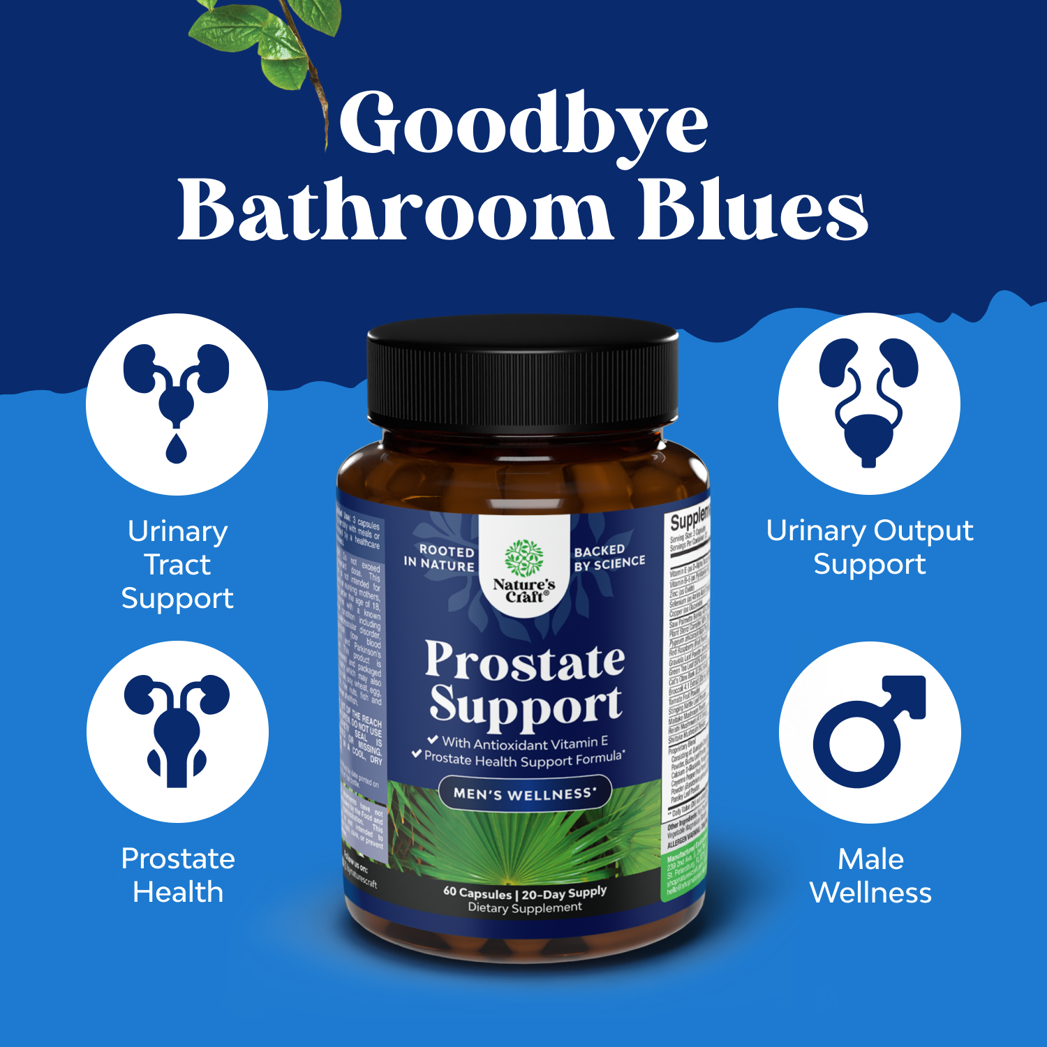 Prostate Support