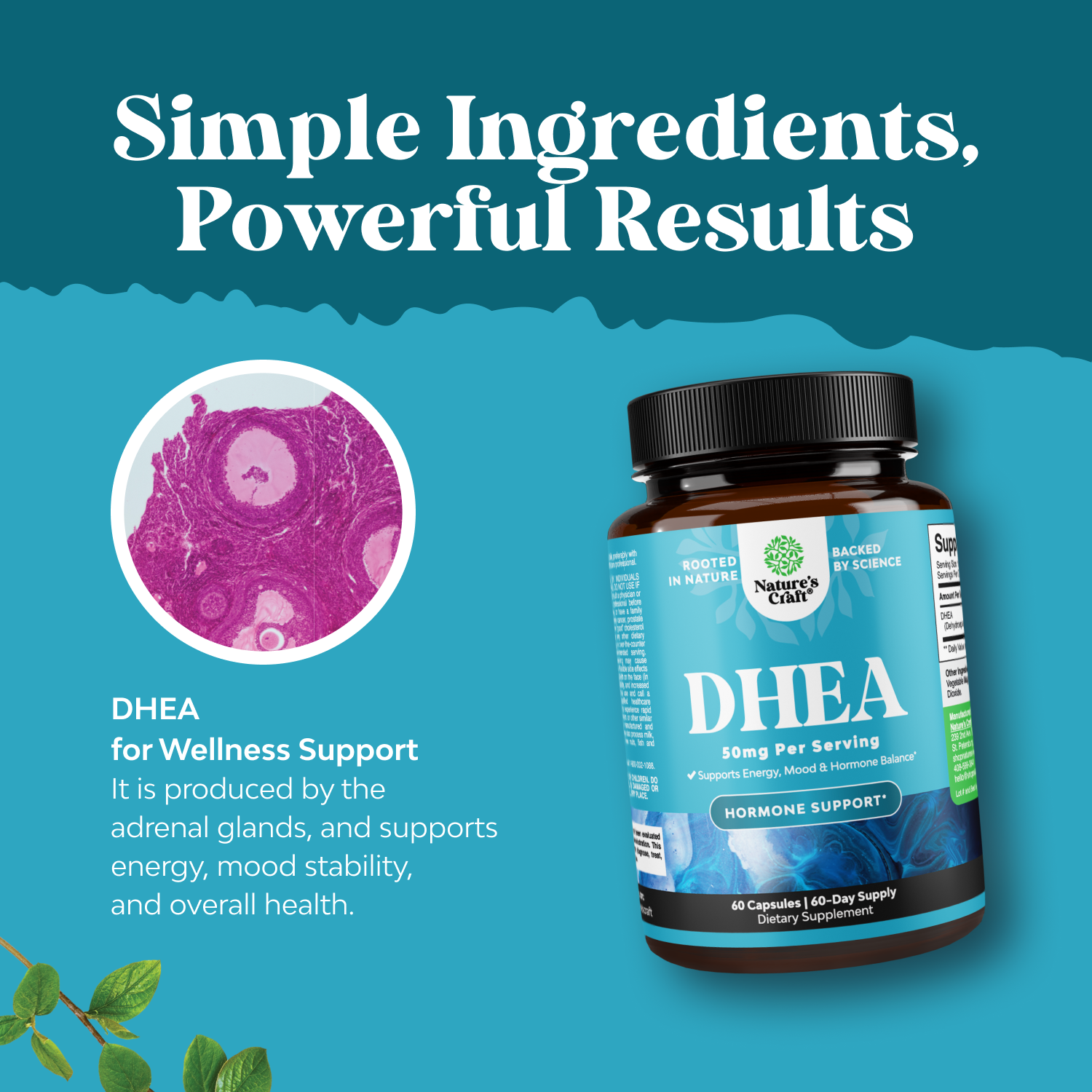 DHEA 50mg per serving