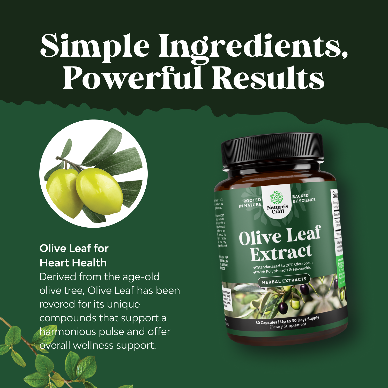 Olive Leaf Extract 750mg per serving