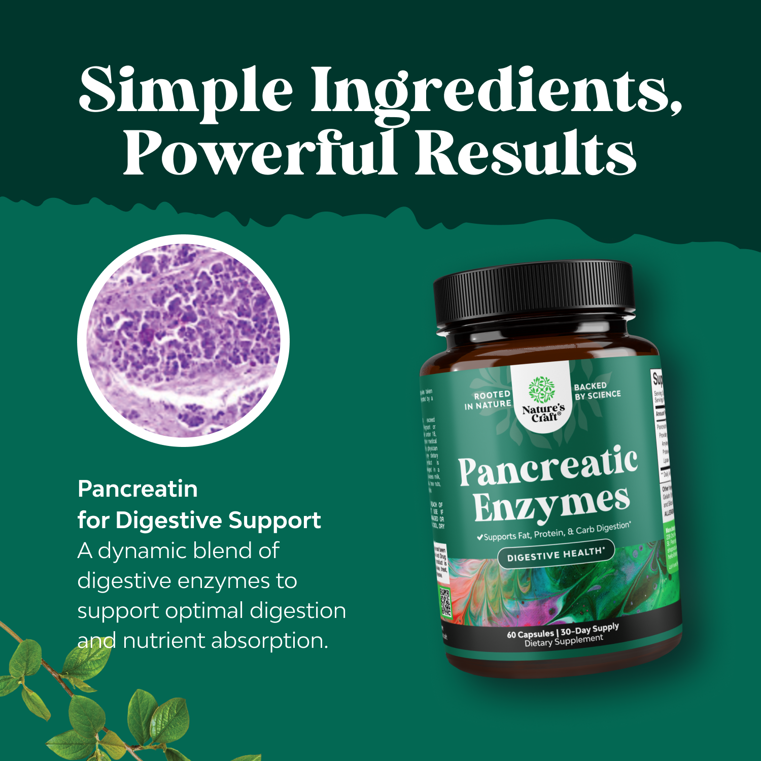 Pancreatic Enzymes