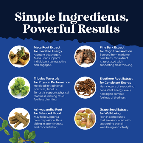 MACA Root Complex