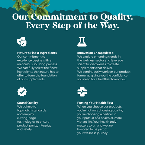 Nicotinamide NAD + Precursor 500mg