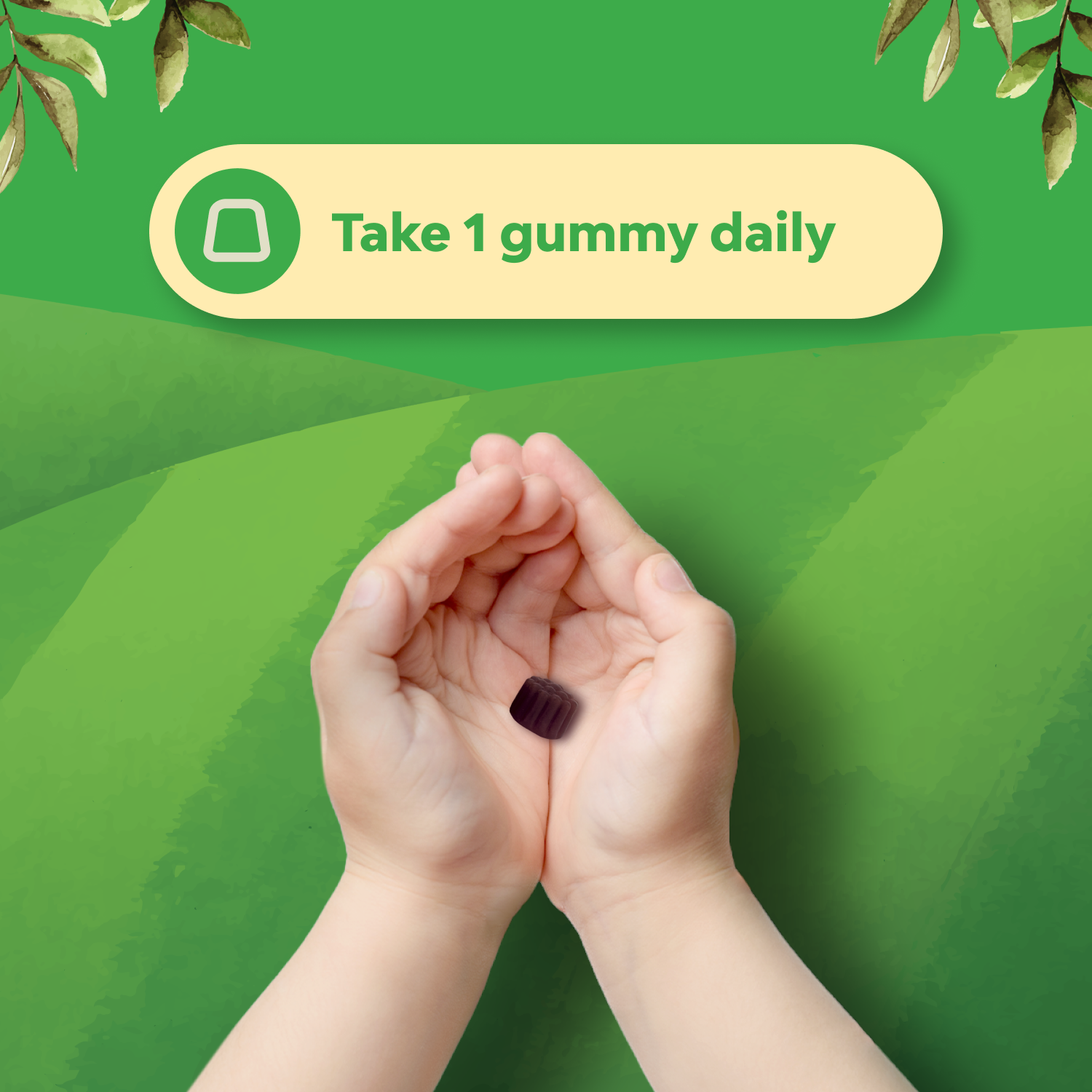 Kids Elderberry Gummies