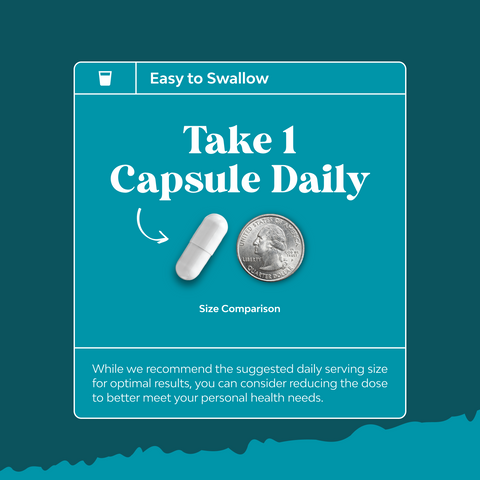 Nicotinamide NAD + Precursor 500mg