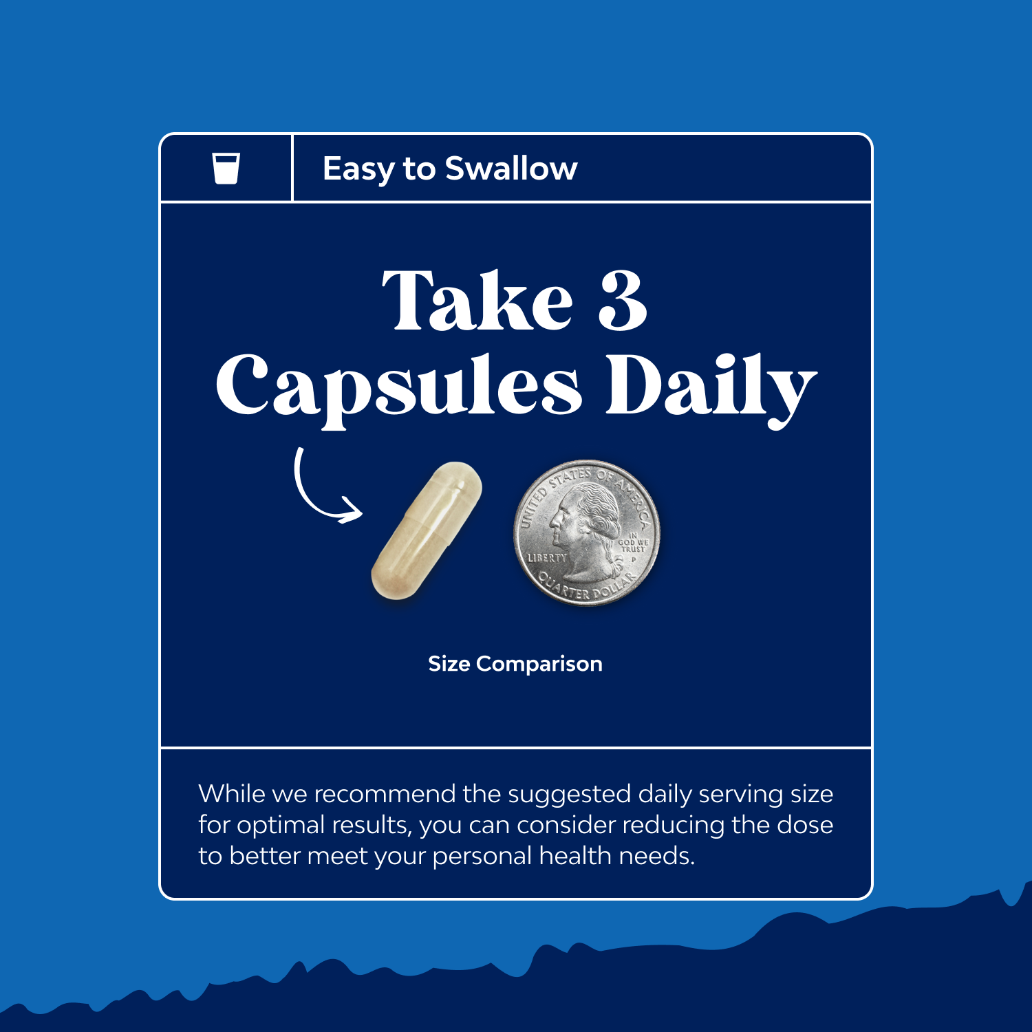 Male Fertility Support