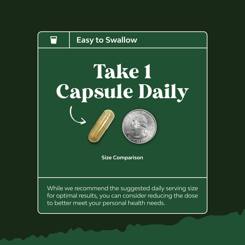 Olive Leaf Extract 750mg per serving