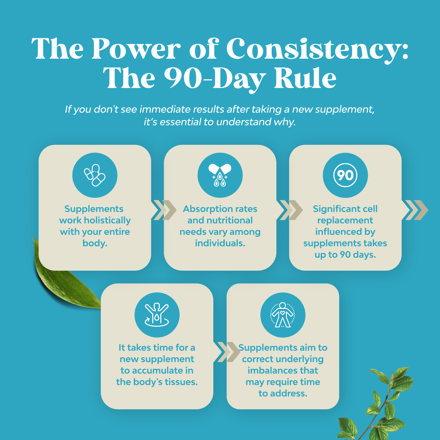 DHEA 50mg per serving