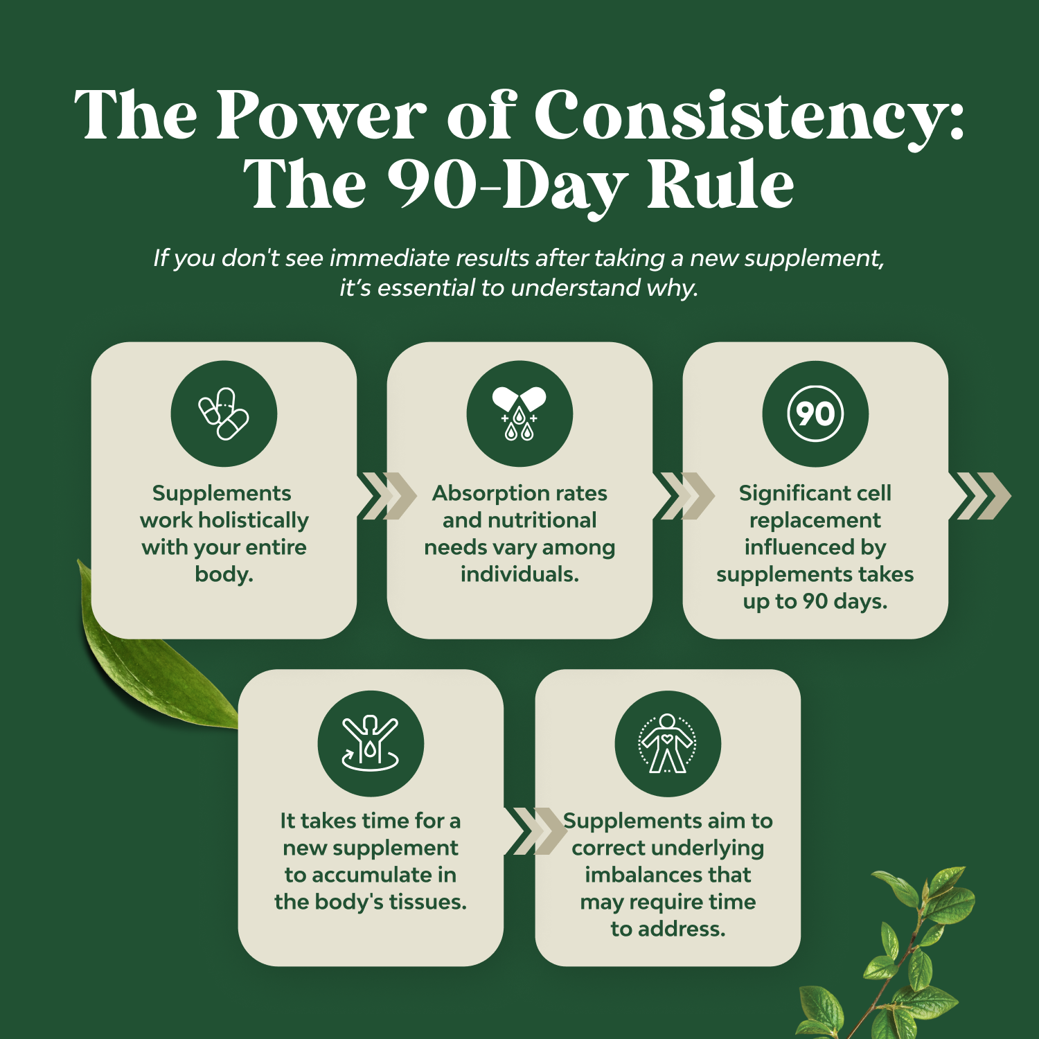 Olive Leaf Extract 750mg per serving